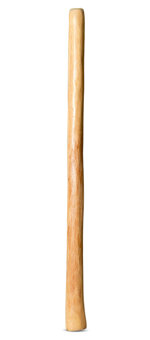 Medium Size Natural Finish Didgeridoo (TW1507)